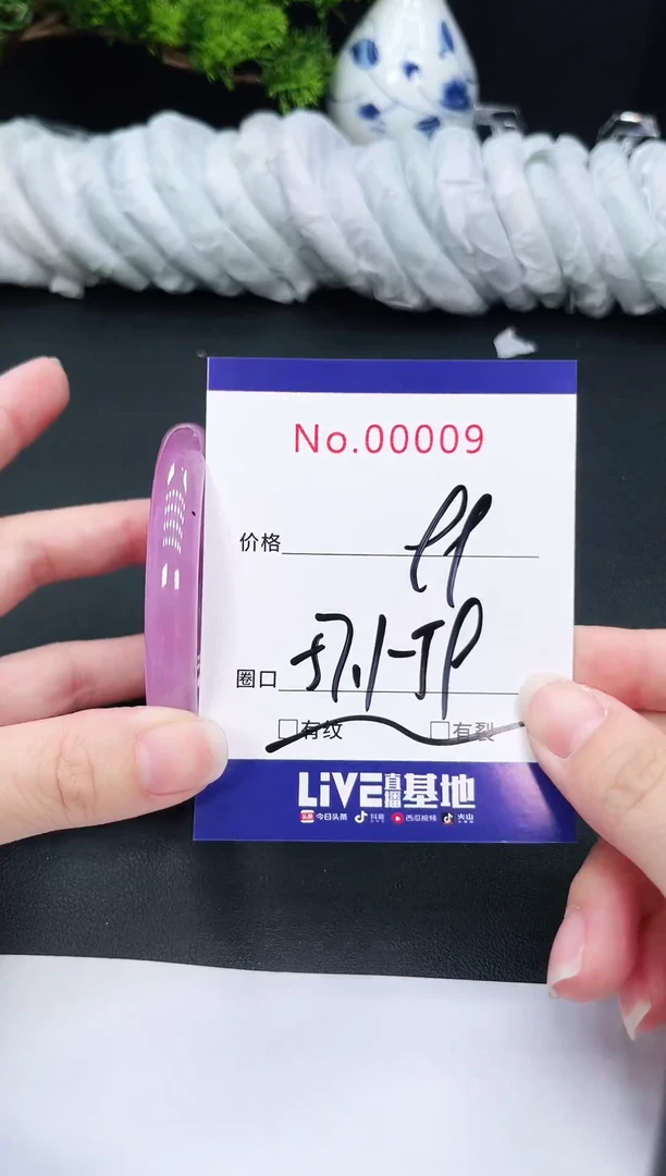 未镶嵌手镯翡翠9