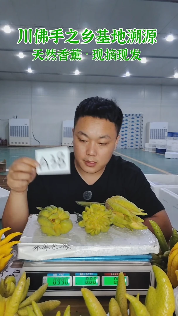 柑橘【一物一拍】川佛手柑鲜果A38