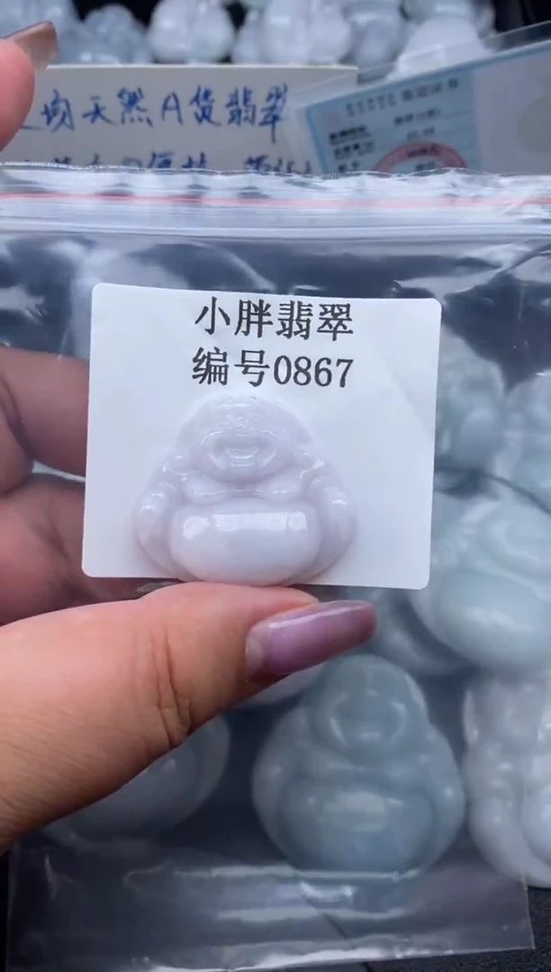 翡翠未镶嵌颈饰缅甸天然A货翡翠0867