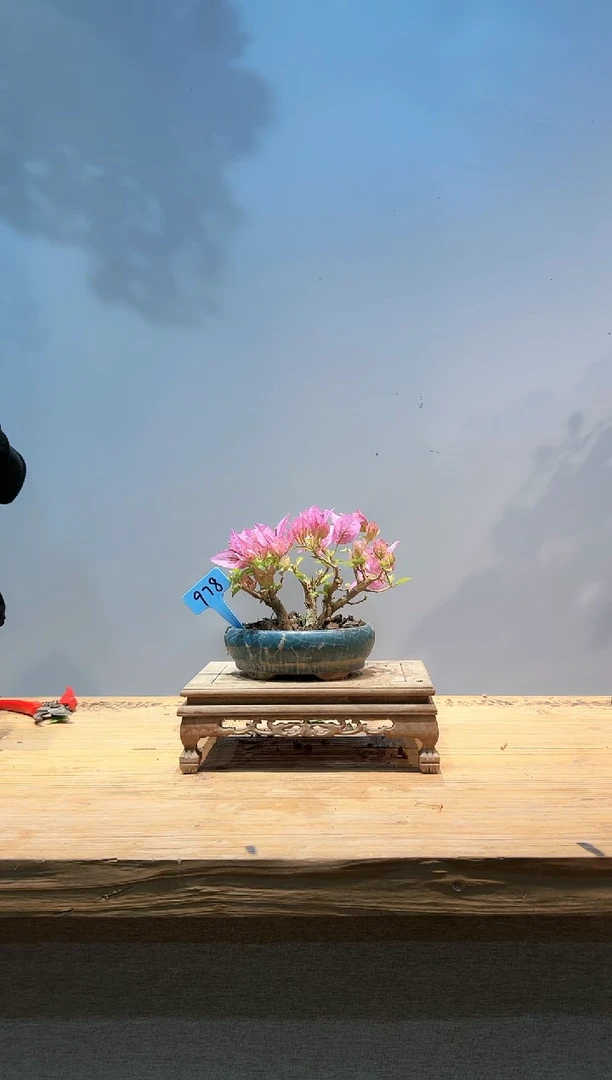 【闪购商品】aa978