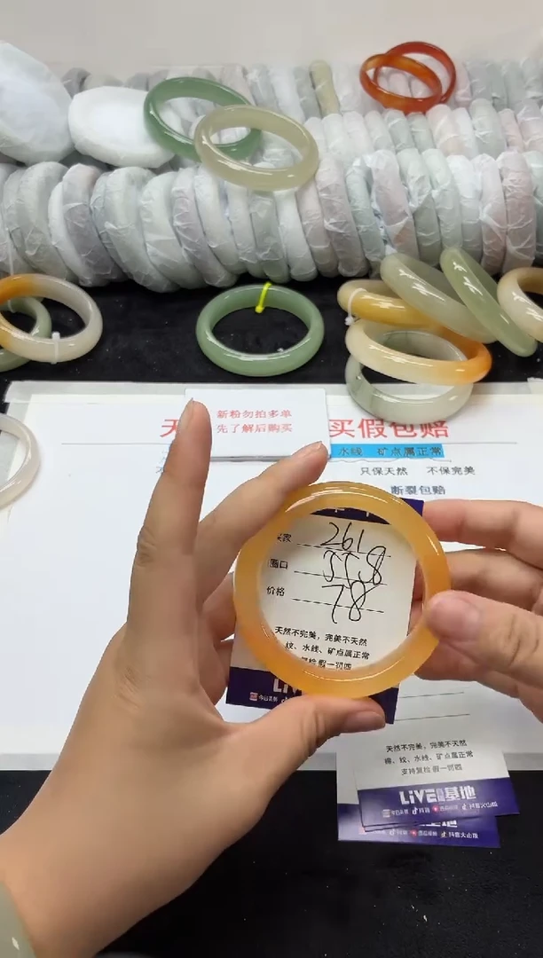 未镶嵌手镯石英质玉261