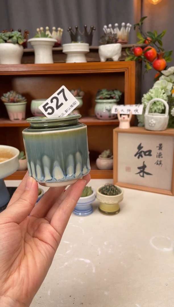 瓷片527知木小芳花盆直播编号