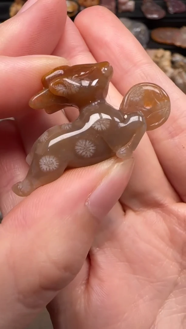 硅化珊瑚（珊瑚玉）未镶嵌颈饰772