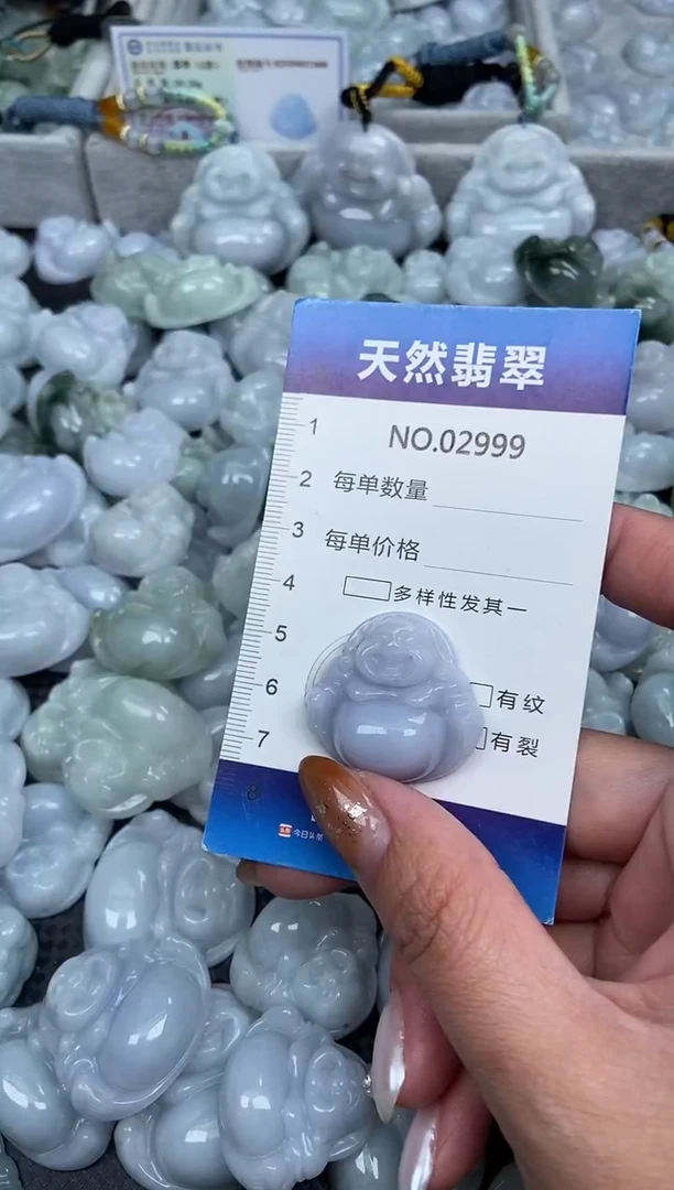 颈饰未镶嵌翡翠纯天然A货翡翠2999