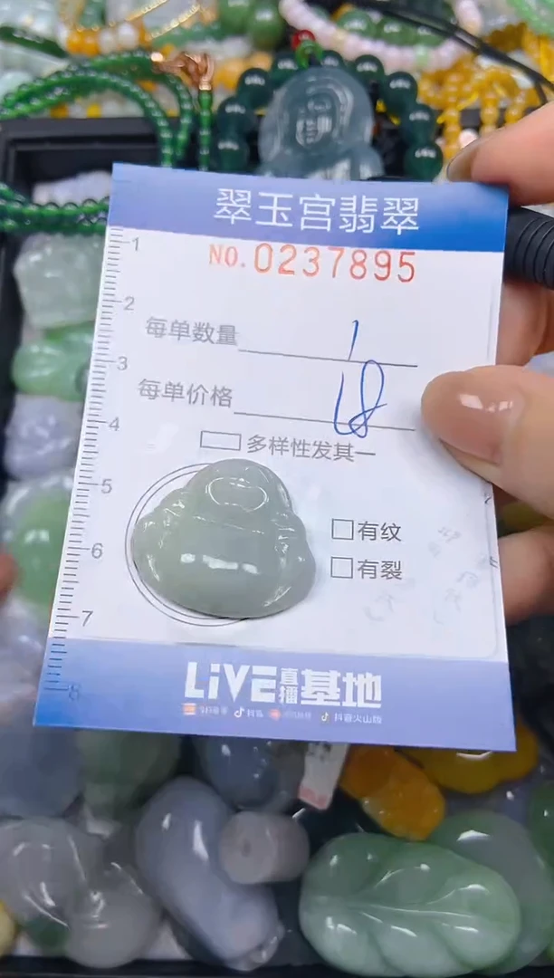 颈饰未镶嵌翡翠闪购C0237895