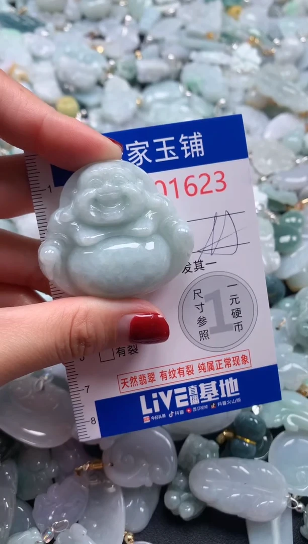 颈饰未镶嵌翡翠1623