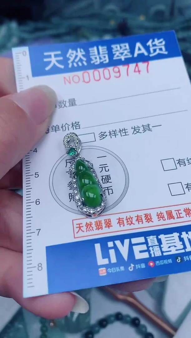 颈饰未镶嵌翡翠00009747