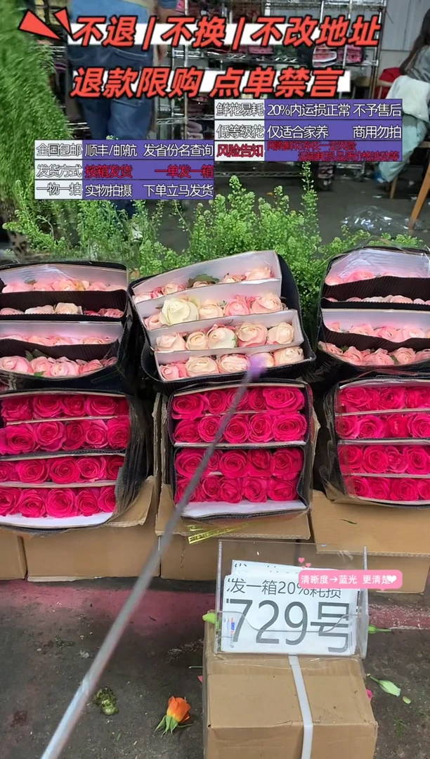 729号♥含20%耗损发一箱