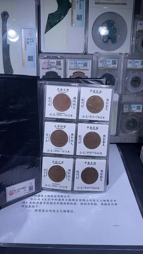 铜琪珍    铜元版别收藏册