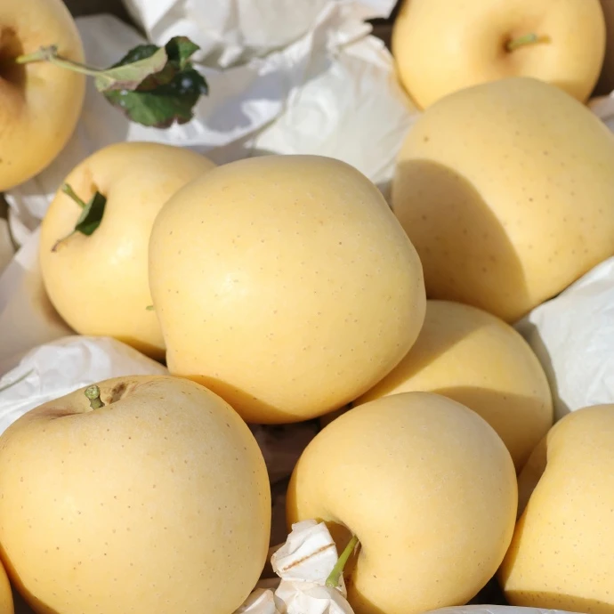 【周谷堆水果】维纳斯香妃苹果净重7斤脆甜香气四溢现货包邮（11）