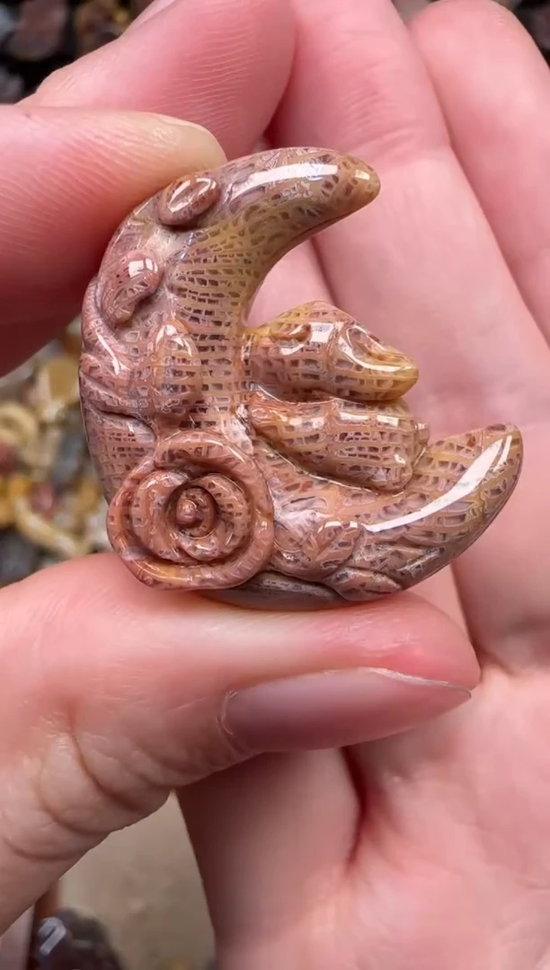 颈饰未镶嵌硅化珊瑚（珊瑚玉）619