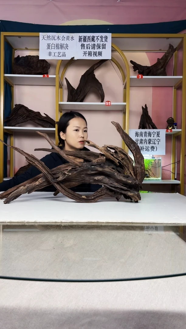 热**击SQCM 紫柚木秒沉A306