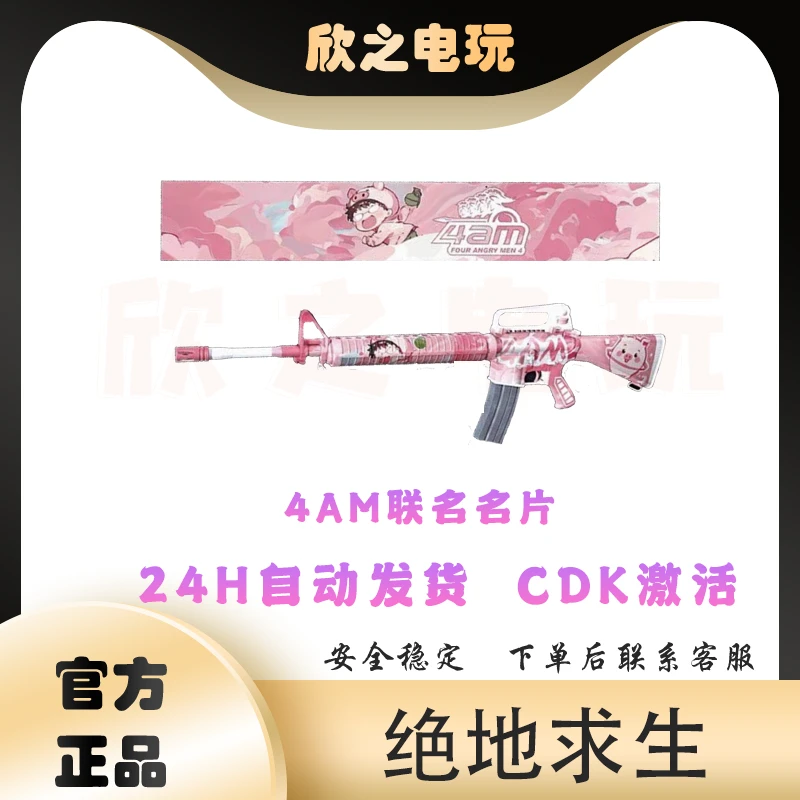 steam绝地求生4am联名名片枪皮激活码cdk