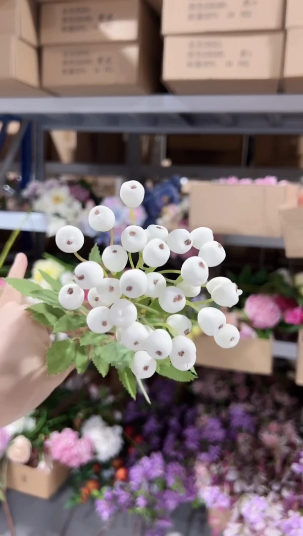 语*1枝白色蔓越莓果子