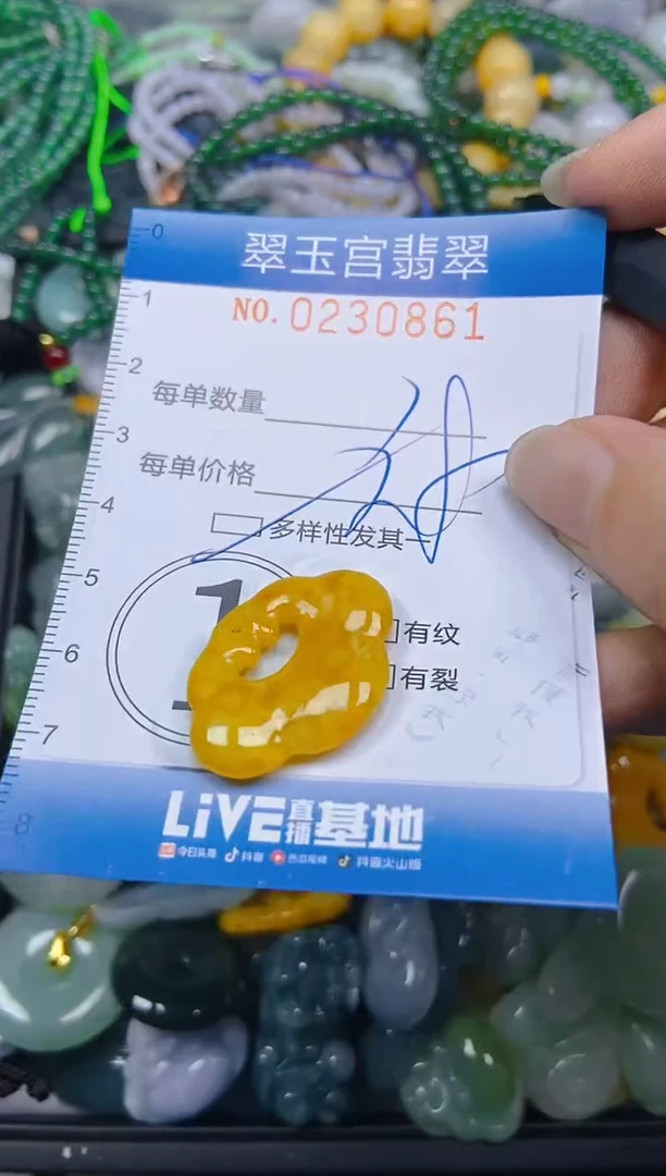 颈饰未镶嵌翡翠闪购C0230861多样性发其一