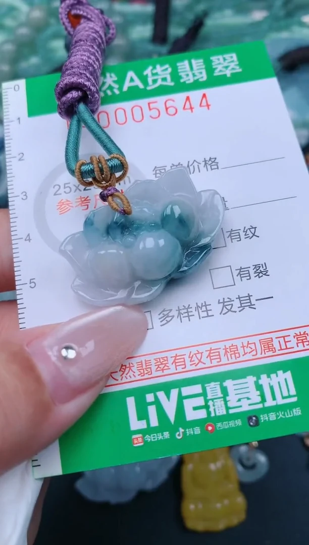 翡翠未镶嵌颈饰.0005644