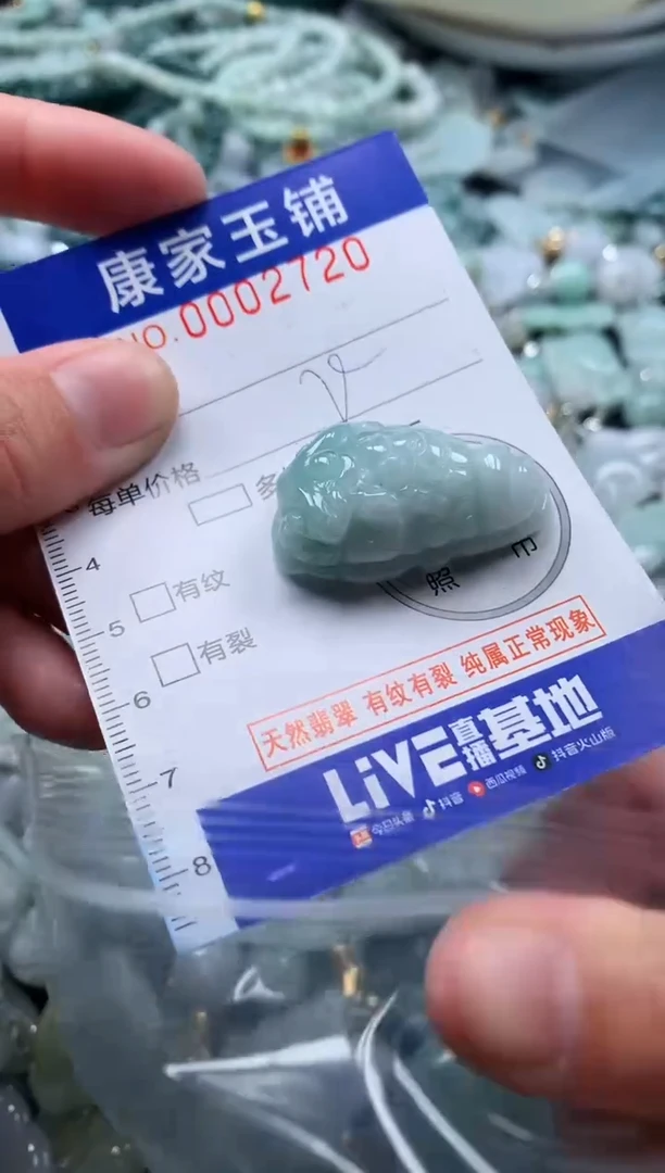 颈饰未镶嵌翡翠2720