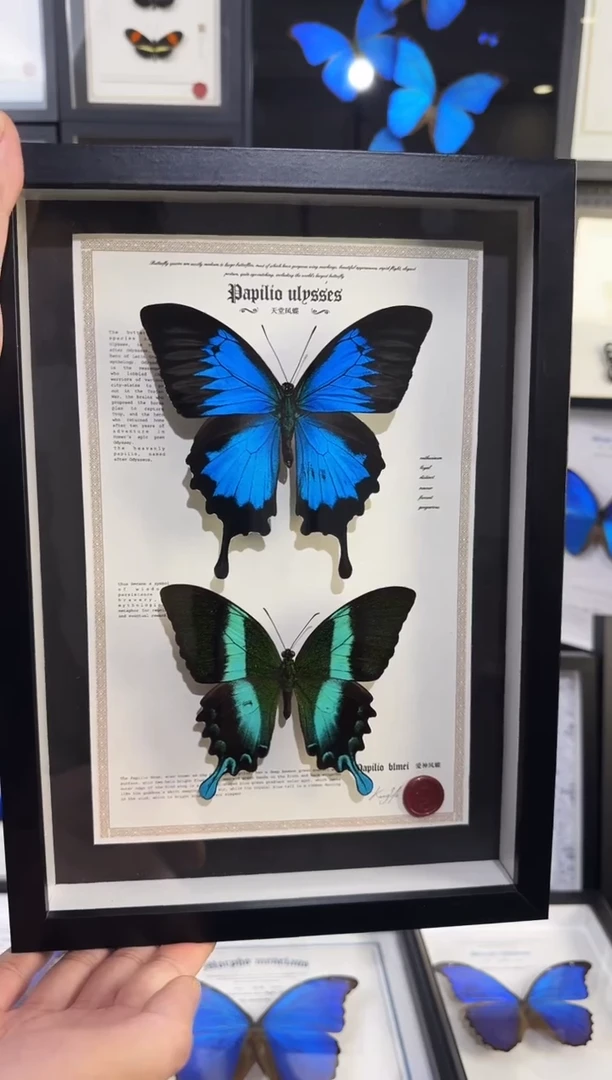 人造板双层款199