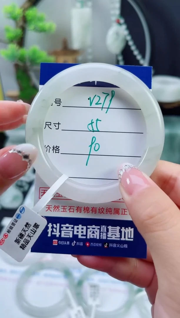 未镶嵌首饰石英质玉（天山翠）279