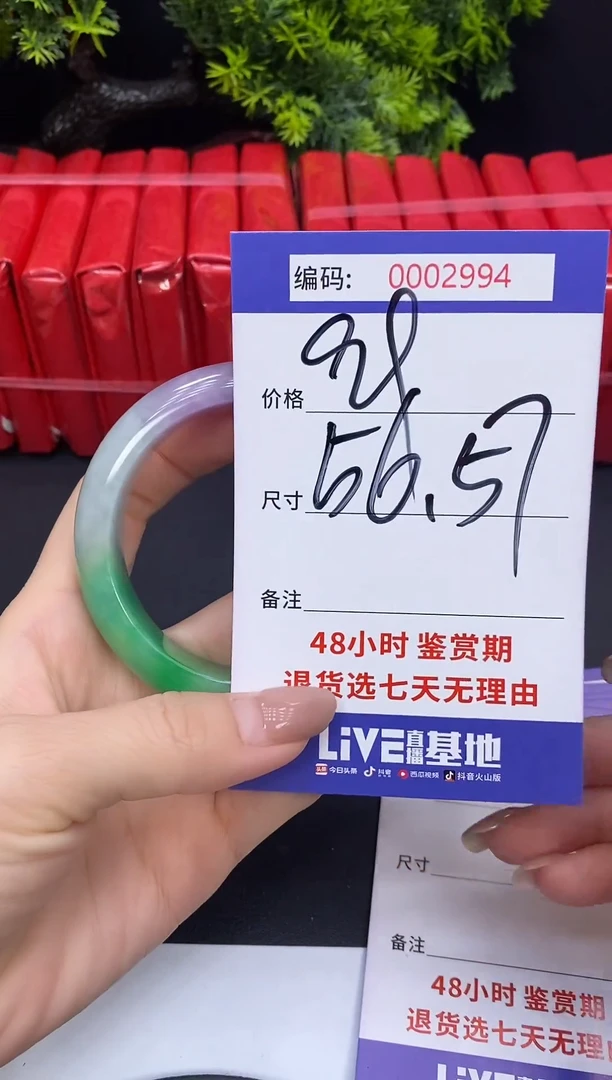 未镶嵌手镯翡翠0002994