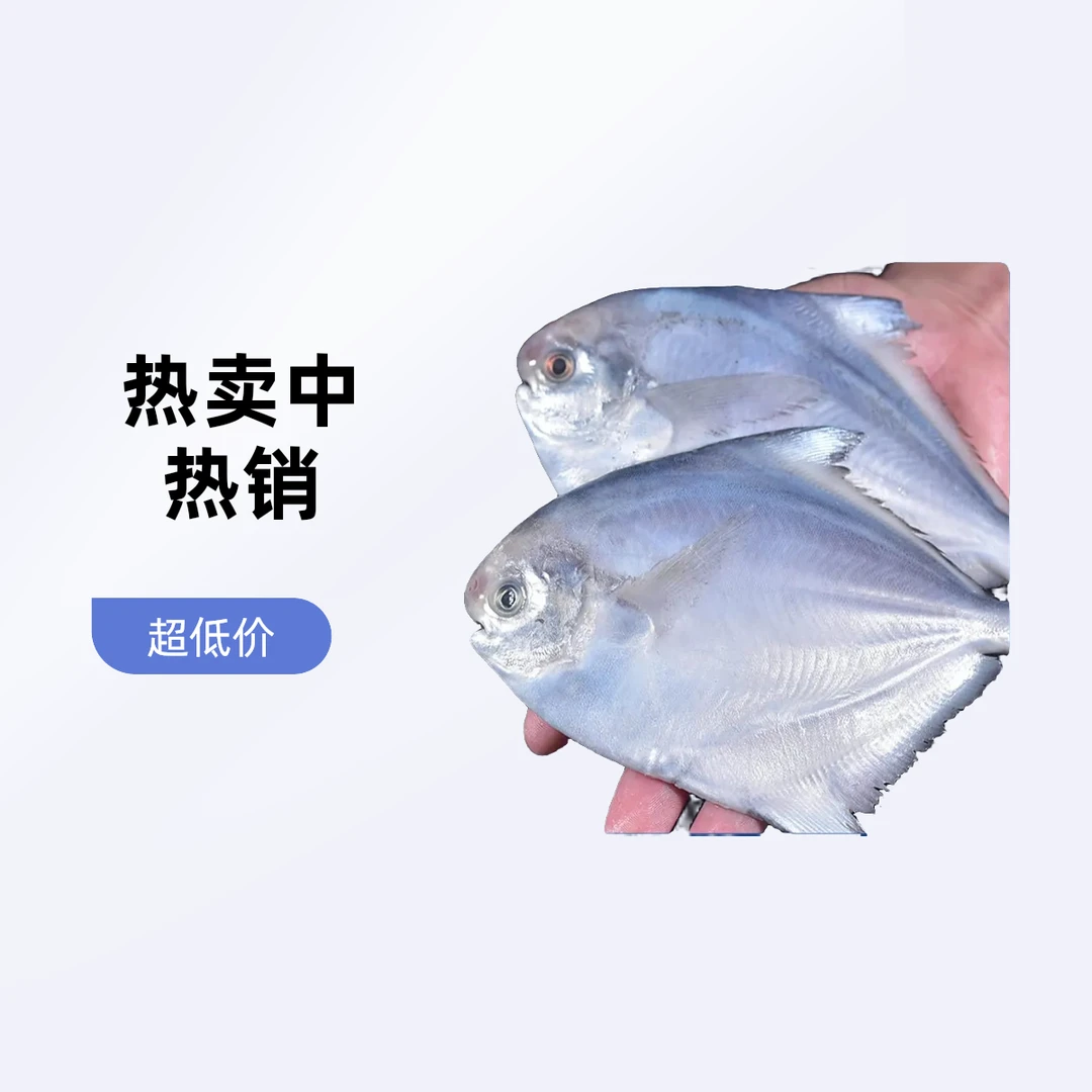 Q54斤银鲳鱼冷冻鲜活速冻条条分离平鱼镜鱼新鲜肉质鲜美美味