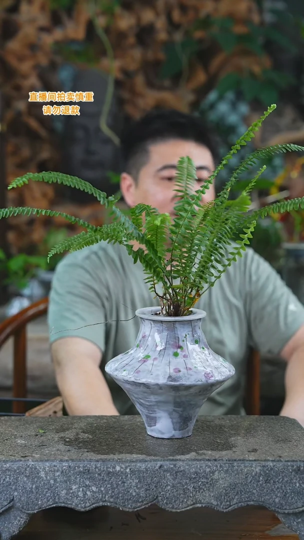 完全开放肾蕨瓷器瓶