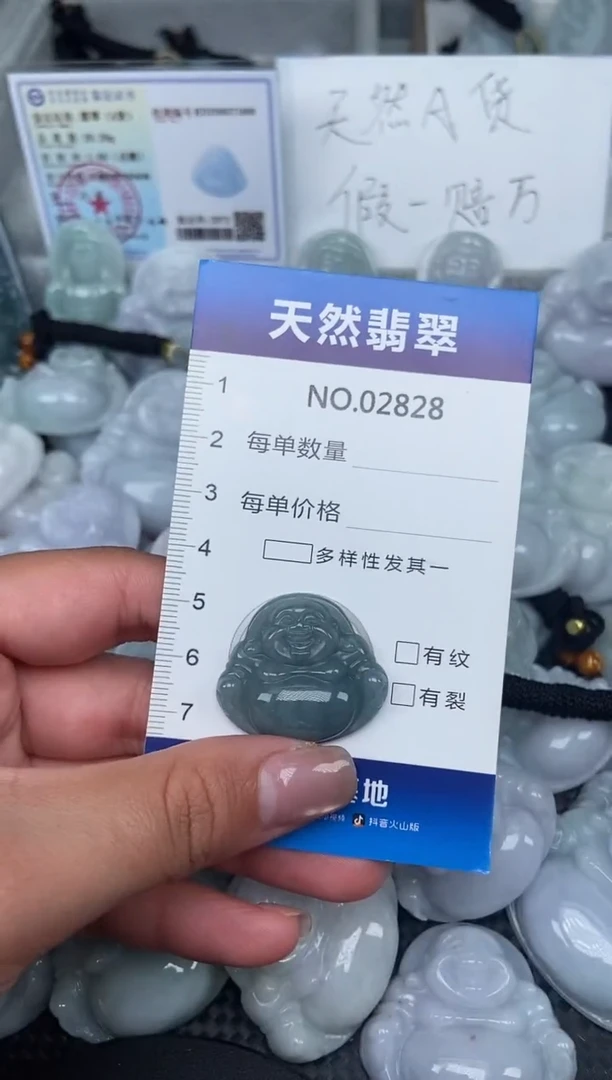 颈饰未镶嵌翡翠纯天然A货翡翠2828