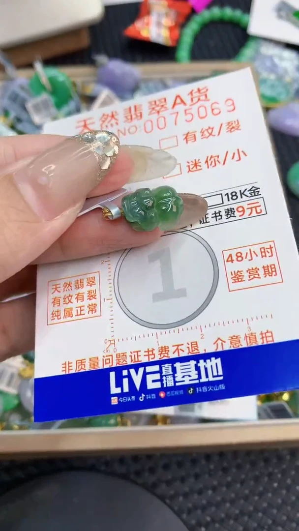 翡翠18K金镶嵌颈饰           1