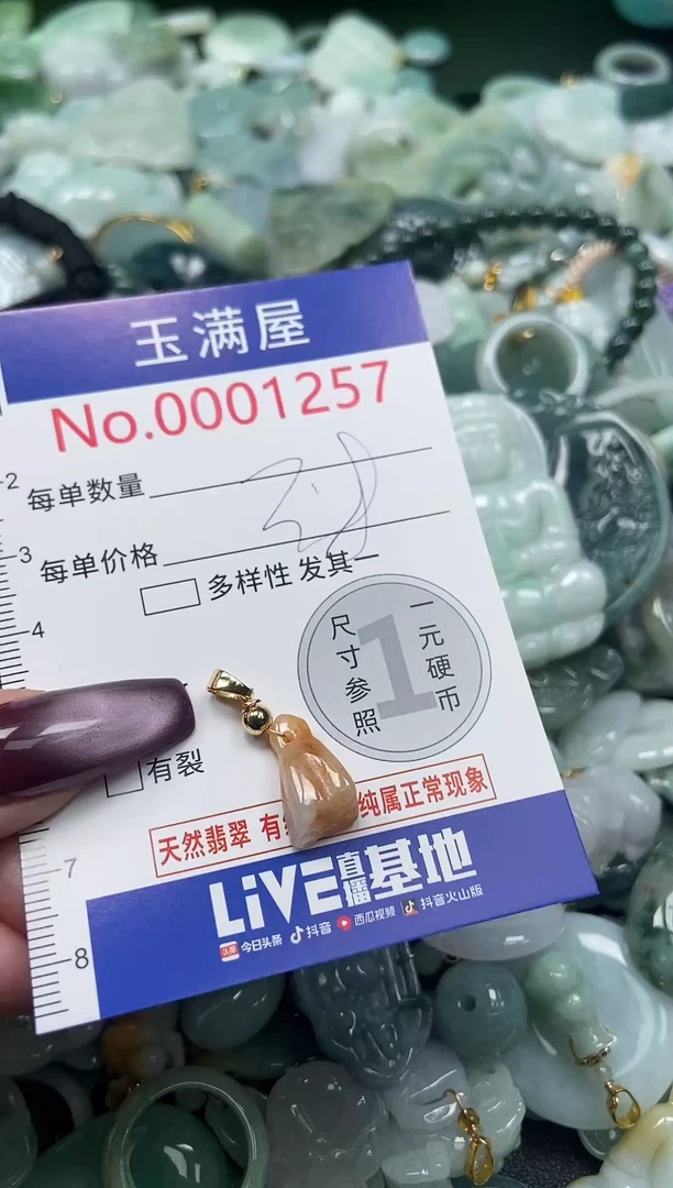 颈饰未镶嵌翡翠1257