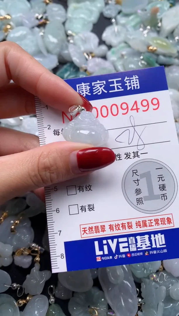 颈饰未镶嵌翡翠9499