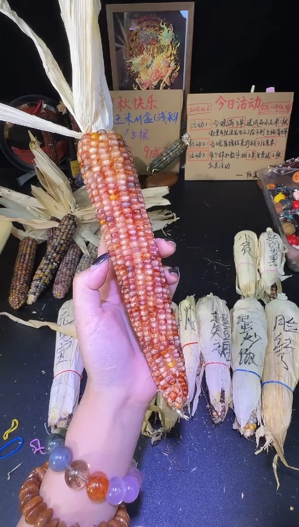 y****儿红红火火恍恍惚惚哈哈哈哈