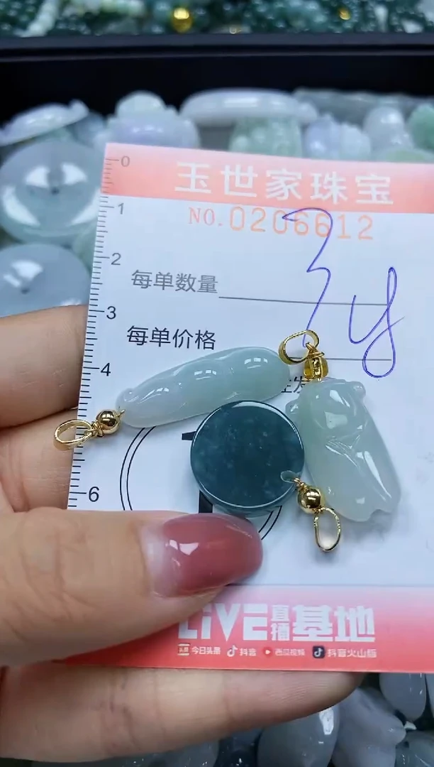 【闪购商品】翡翠颈饰未镶嵌闪购0206612