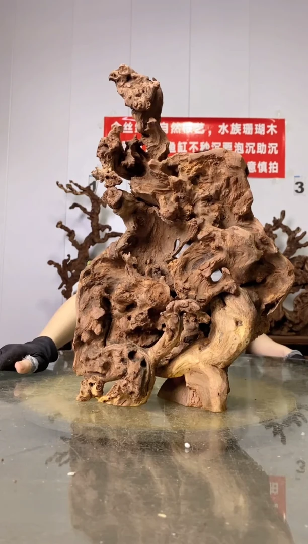 【闪购商品】木50金丝红木 羊蹄甲