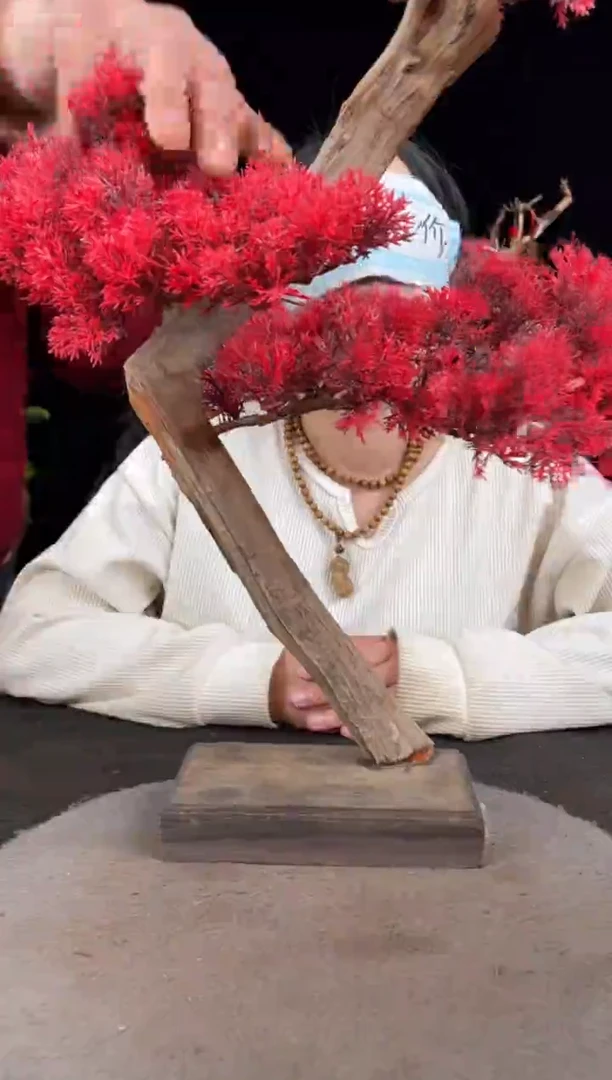 【闪购商品】柏木（崖柏）其他手工摆件,先抢先得!