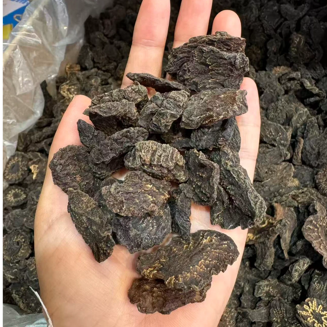 肉枞蓉高品质阿拉善秋季开花肉枞蓉切片适合泡水
