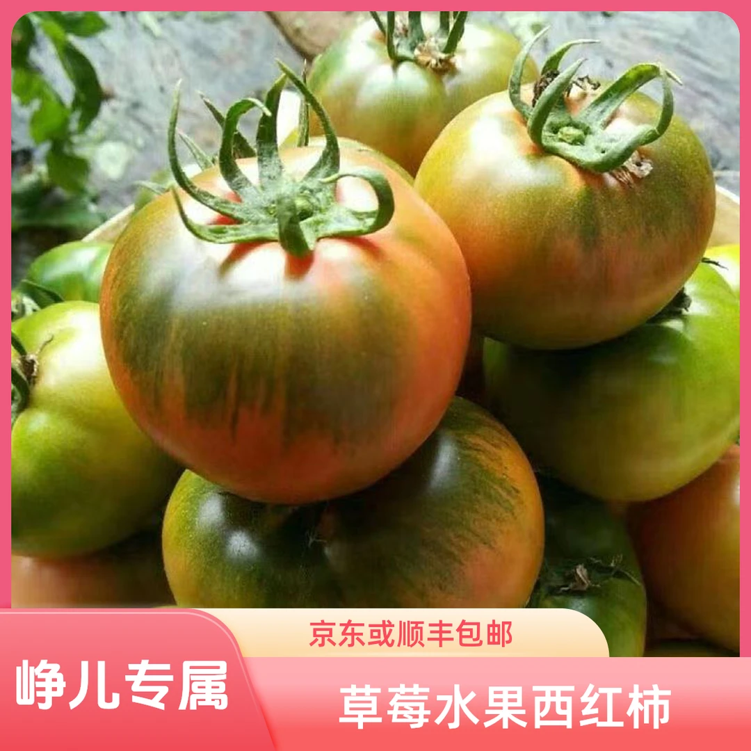 【峥儿专属】草莓水果西红柿5斤 新鲜番茄酸甜口感京东或顺丰包邮