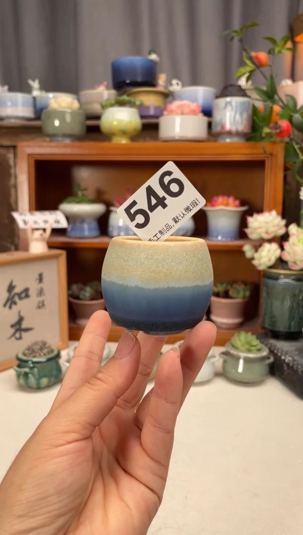 瓷片546知木小芳花盆