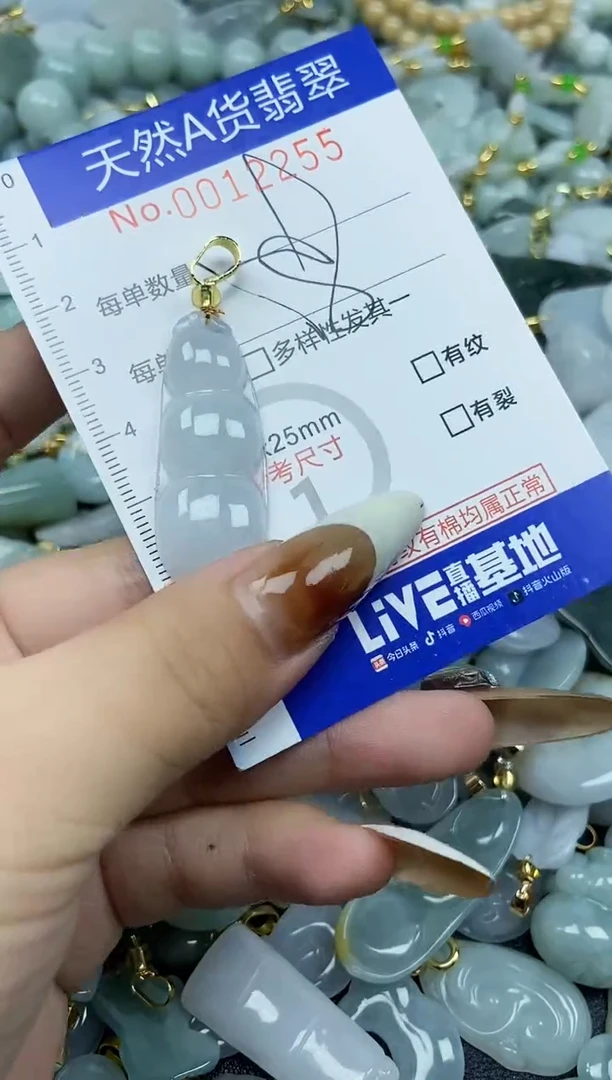 【闪购商品】翡翠颈饰未镶嵌天然A货翡翠