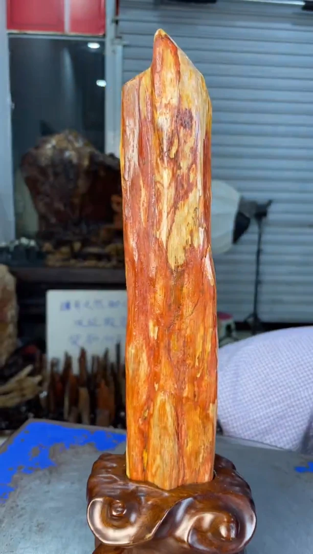 未镶嵌摆件硅化玉6