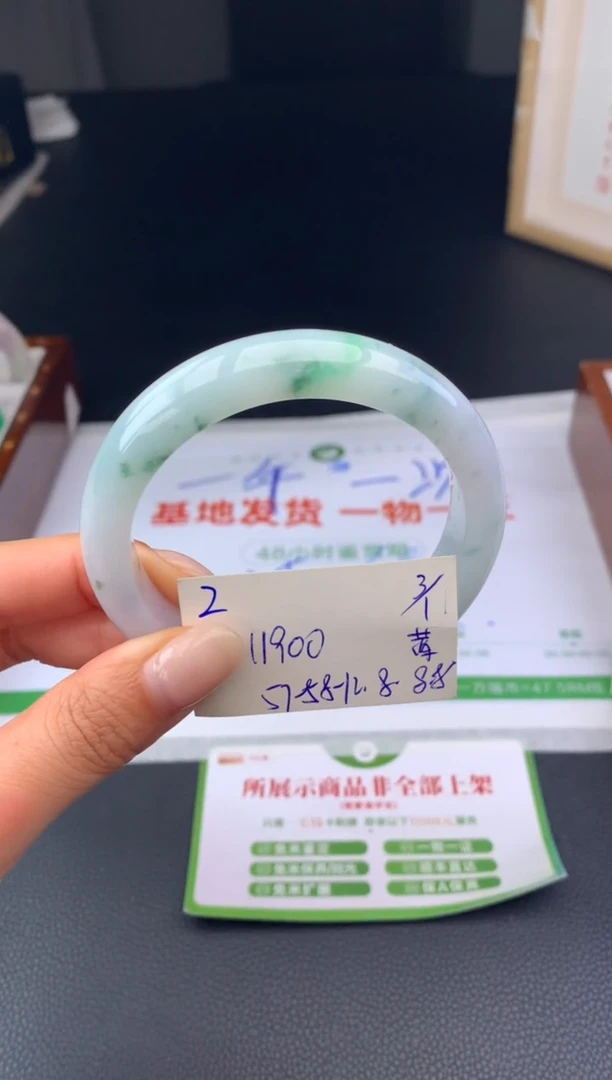 未镶嵌手镯翡翠假一赔三   手镯