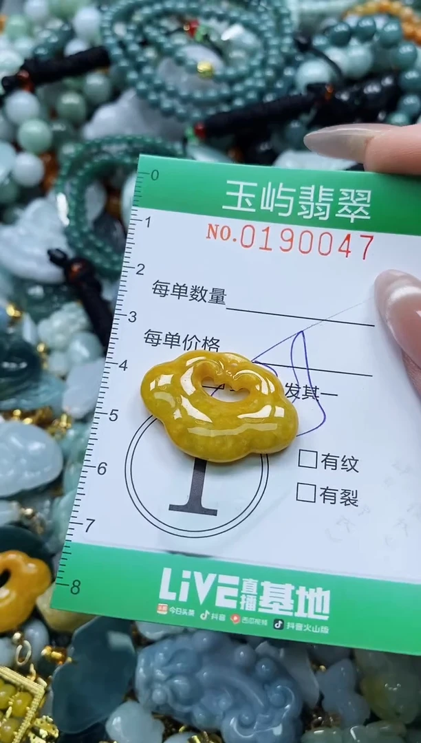 翡翠未镶嵌颈饰闪购0190047多样性发其一