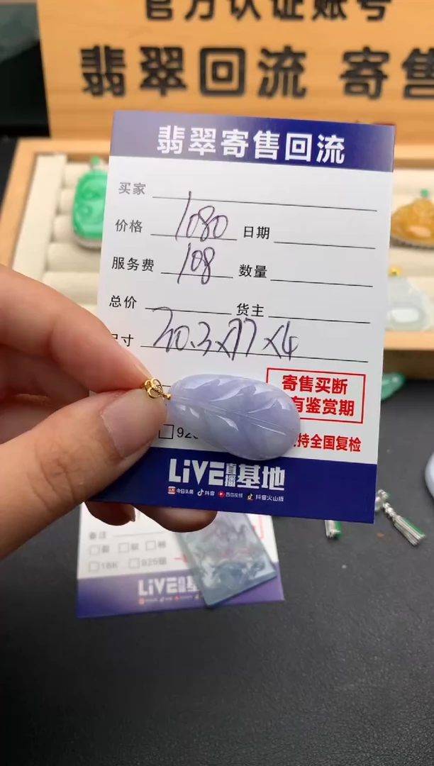 翡翠18K金镶嵌颈饰10139918