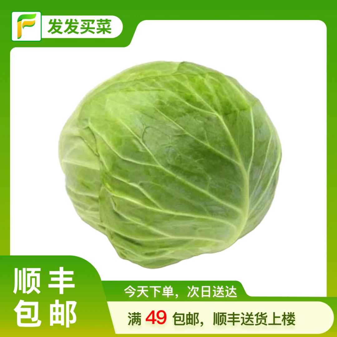 发发地产绿甘蓝约0.7-1斤/个