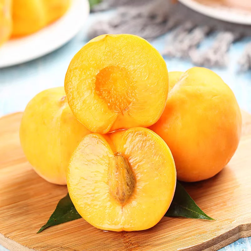 （现摘现发）湖北锦绣金凤黄桃脆甜多汁露天新鲜水果桃子超大水果