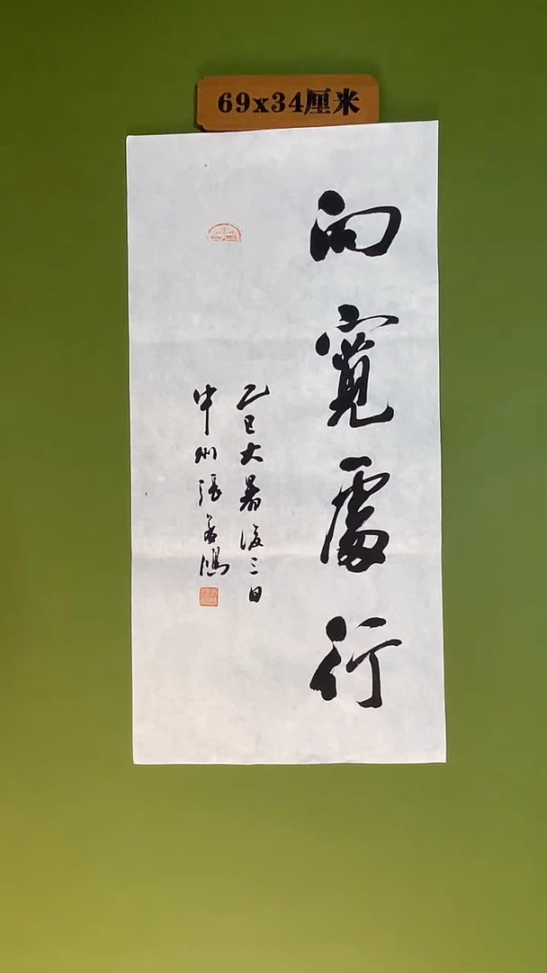 书法书法 张若鸿 尺寸69cm*34cm