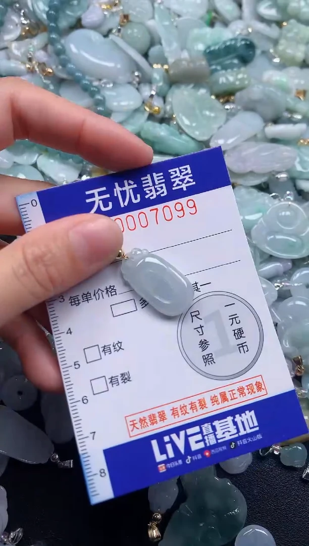 颈饰未镶嵌翡翠7099