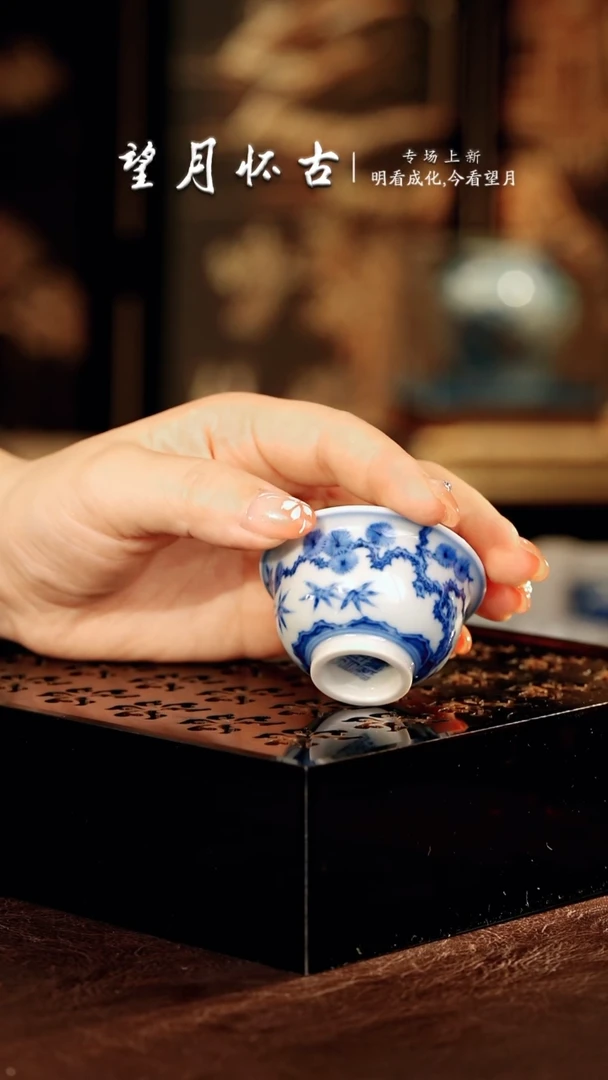 望月怀古···········