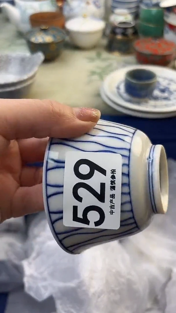 瓷片杨**～529.......