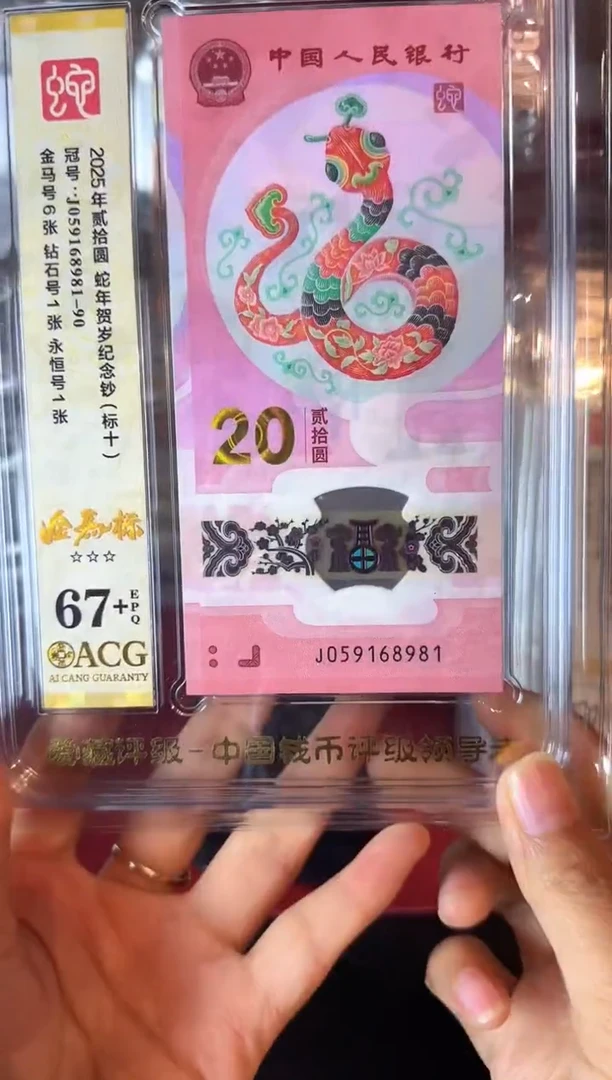 塑料2025 蛇钞 爱藏标十 啊啊啊如图