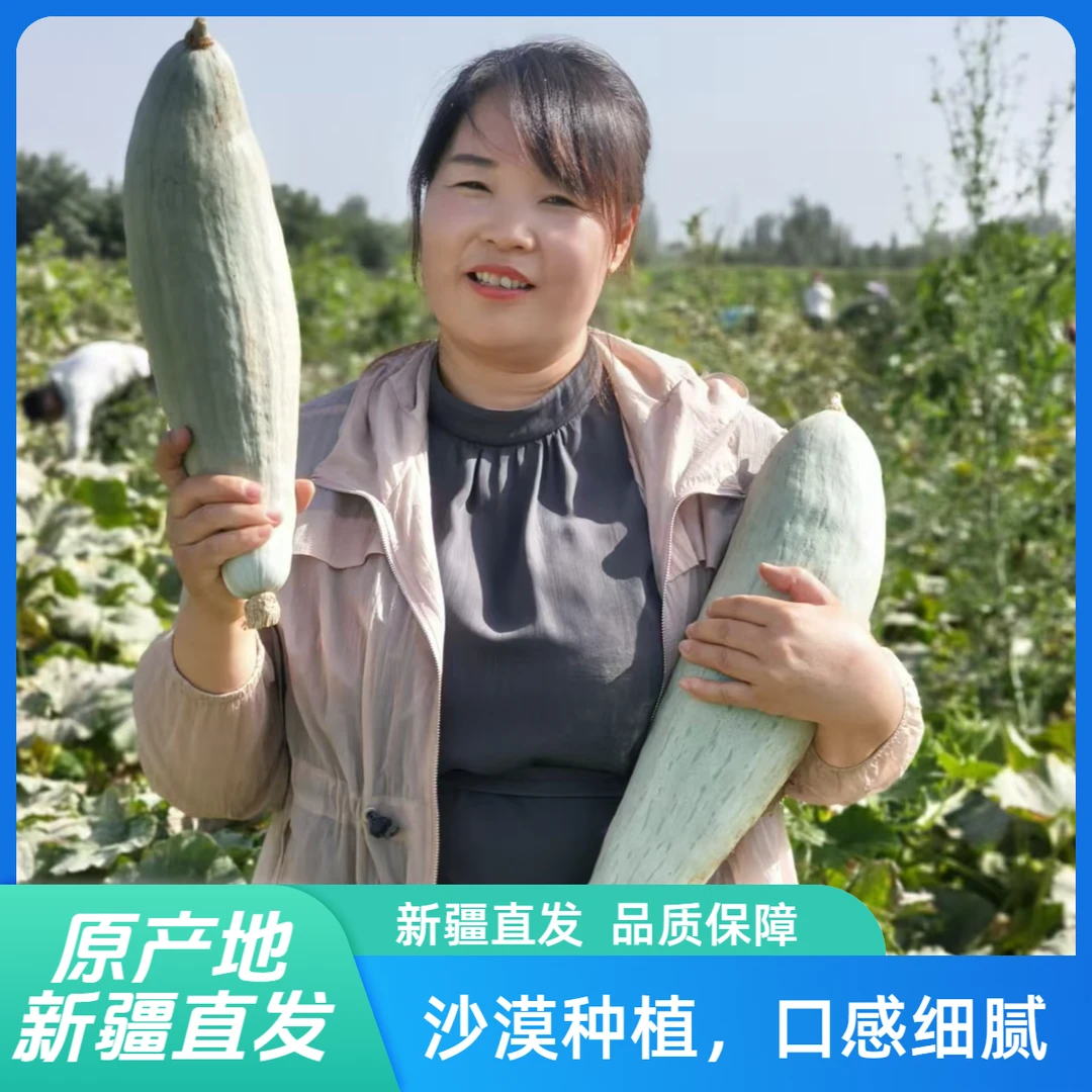 【新疆贵族丑南瓜】新疆直发沙漠种植口感细腻软糯香甜粉糯可口栗香